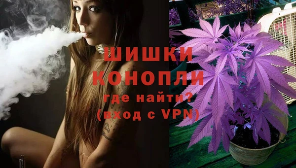 PSILOCYBIN Абаза